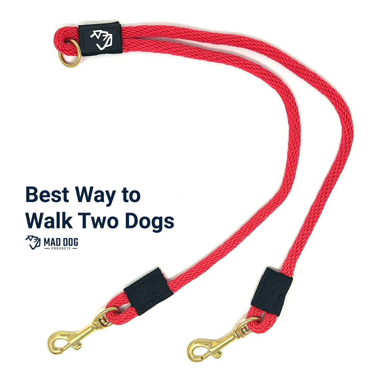 Coupler Leash A+ 2