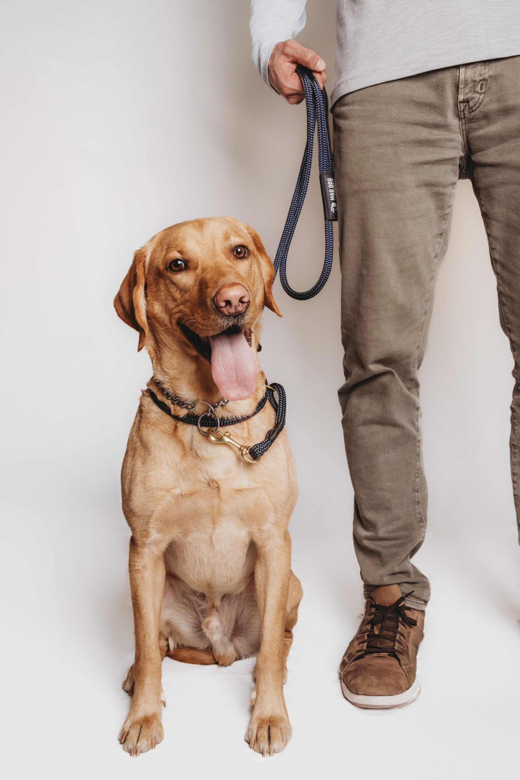 Guide To Choosing The Right Leash