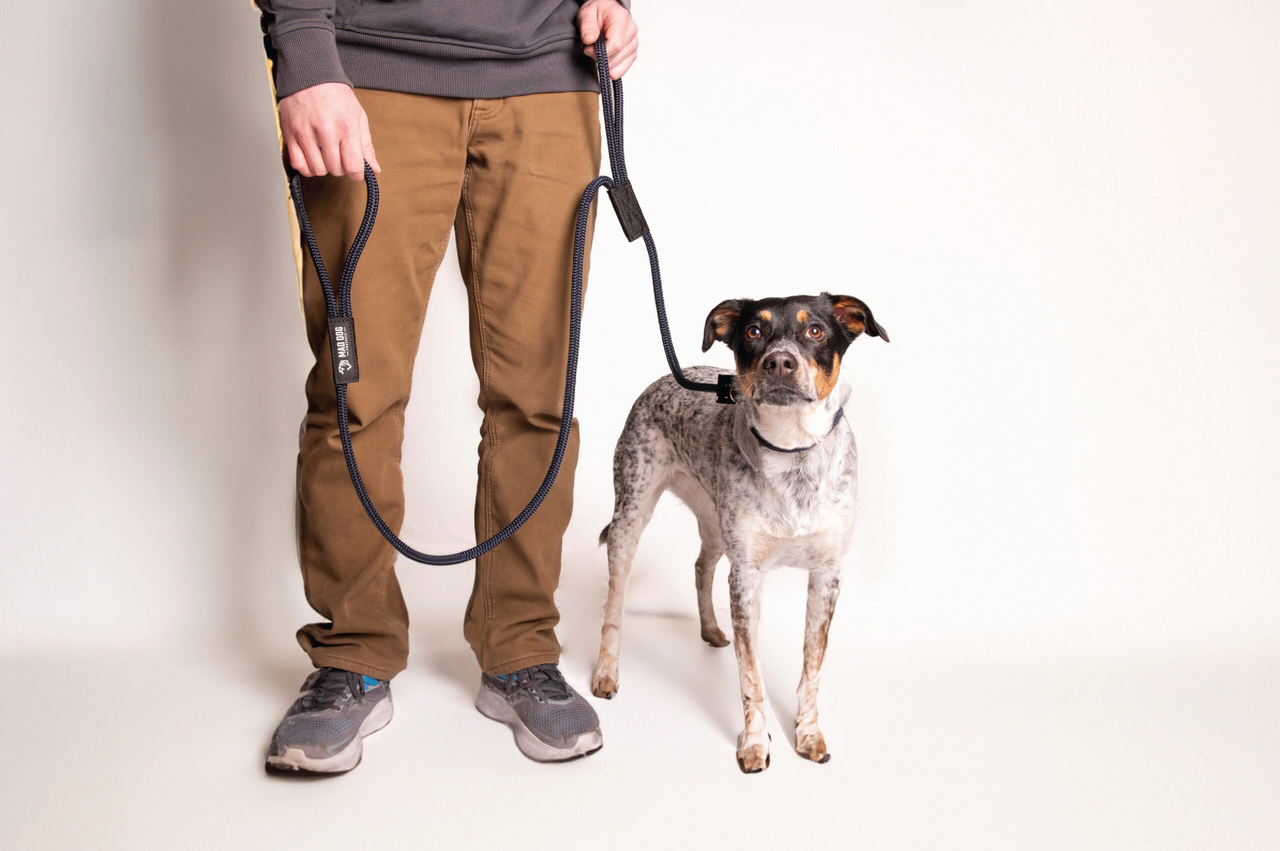 How To Handle Leash-Related Challenges